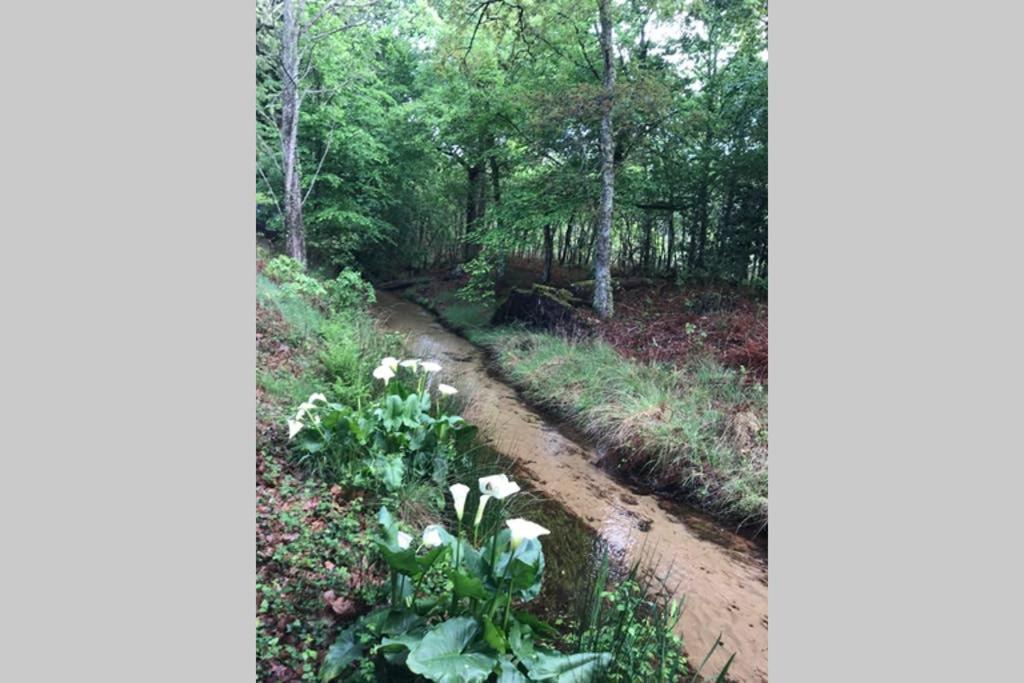 Spa Et Detente Au Coeur De La Foret Des Landes - 3 Etoiles Villa Luglon Eksteriør bilde