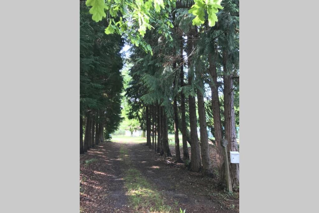 Spa Et Detente Au Coeur De La Foret Des Landes - 3 Etoiles Villa Luglon Eksteriør bilde